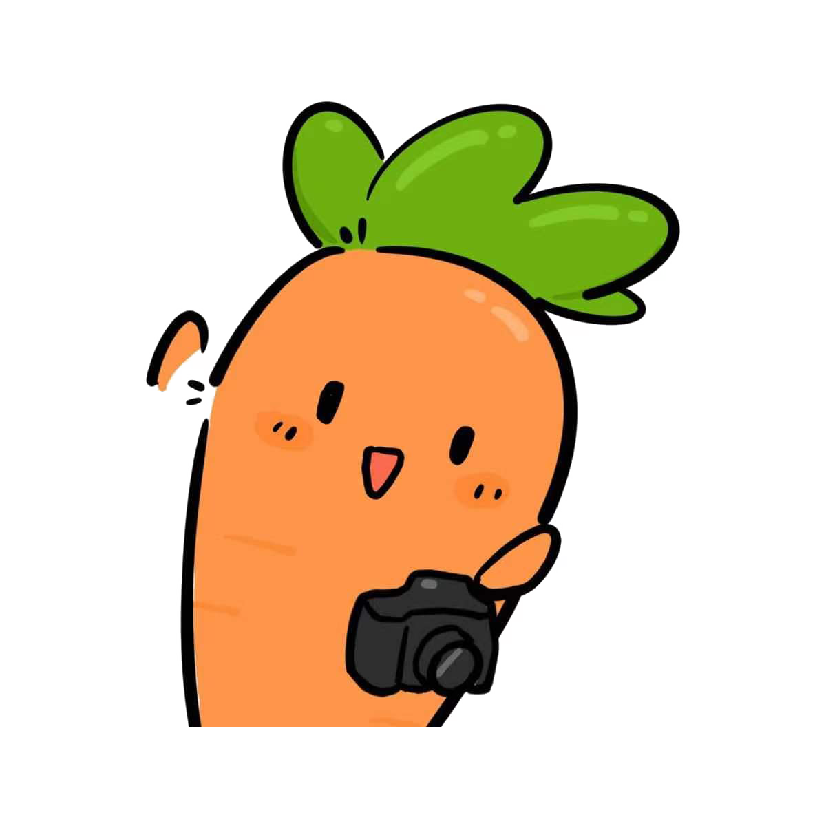 RoboTou 延时摄影堆叠工具